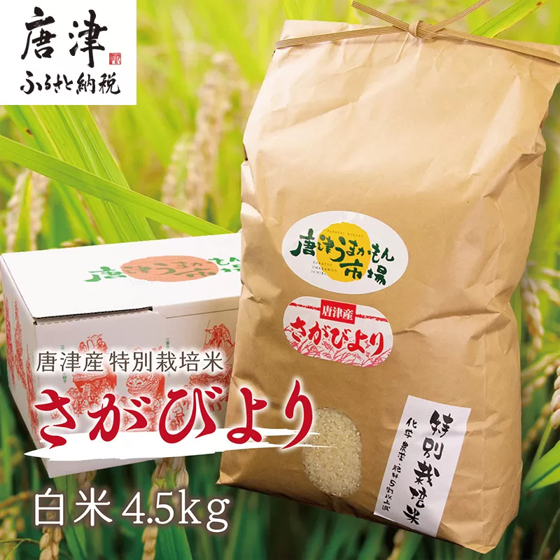 『先行予約』【令和6年産】唐津産特別栽培米 さがびより(白米) 4.5kg 白米 ご飯 こめ お米 おにぎり