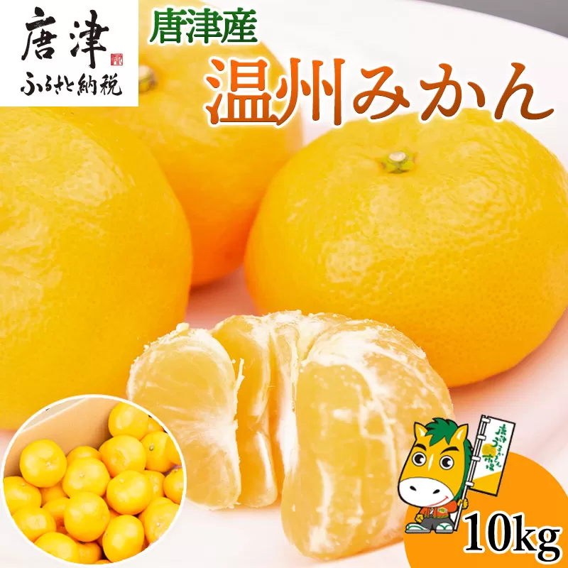 『先行予約』【11月上旬発送予定】唐津産 温州みかん 10kg バラ ハウスみかん ミカン 果物 フルーツ