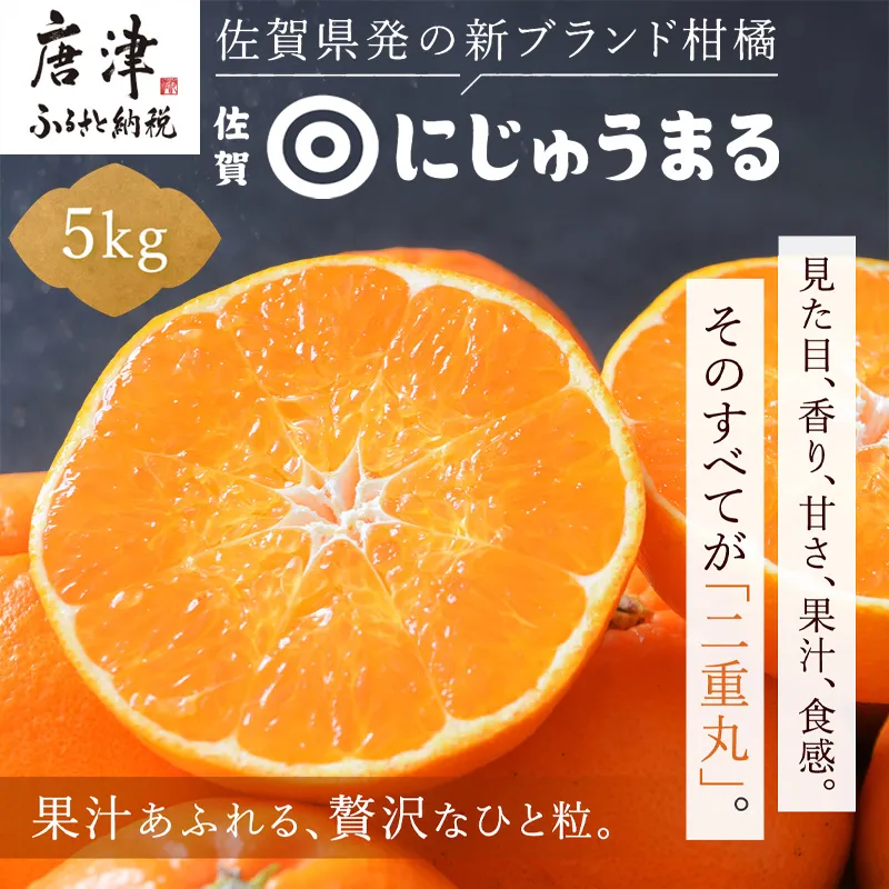 『先行予約』【令和9年3月上旬より順次発送】◎にじゅうまる◎ 5kg 佐賀県産【高級柑橘みかん】果物フルーツ 柑橘