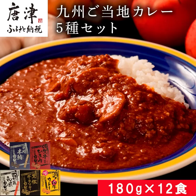 九州ご当地カレー佐賀牛ひき肉カレー180g×4、博多和牛カレー、長崎本鮪カレー、黒豚ポークソテーカレー、古処鶏和風カレー各180g×2(合計2.16kg)「2024年 令和6年」