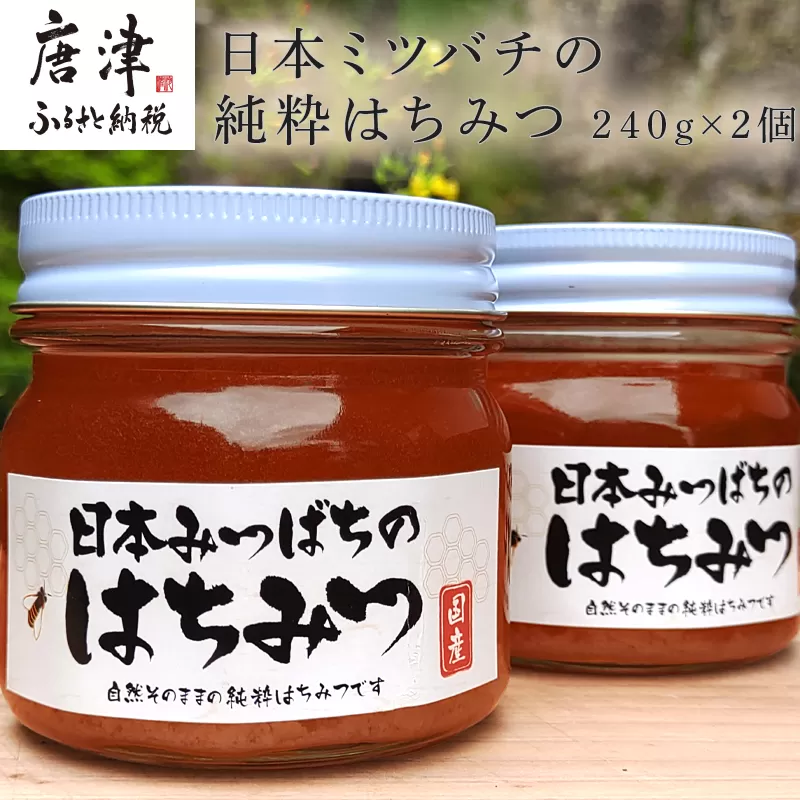 日本ミツバチの純粋はちみつ 240g×2個 (合計480g) 瓶 自然 蜜「2024年 令和6年」