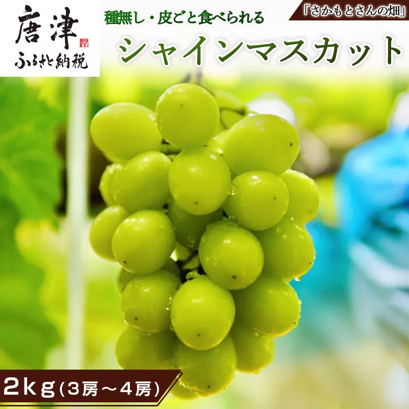 『先行予約』【令和7年9月中旬より順次発送】シャインマスカット2kg 3房～4房 葡萄 ぶどう 果物 フルーツ スイーツ