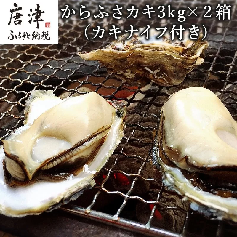 『予約受付』【令和8年3月上旬発送】佐賀県唐津市唐房産 からふさカキ3kg×2箱 (カキナイフ付き) レシピ 牡蠣 貝 BBQ アウトドア