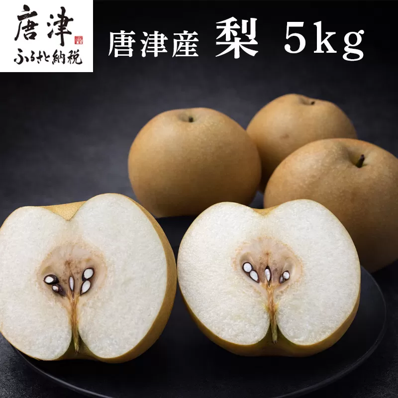 『先行予約』【令和8年7月上旬より順次発送】唐津産 梨 5kg【旬の味覚】果物 フルーツ 幸水 豊水
