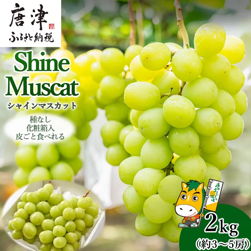 『先行予約』【7月下旬発送予定】甘みがギュッ!と詰まったシャインマスカット 2kg (約3～5房) 化粧箱 フルーツ 果物 ギフト