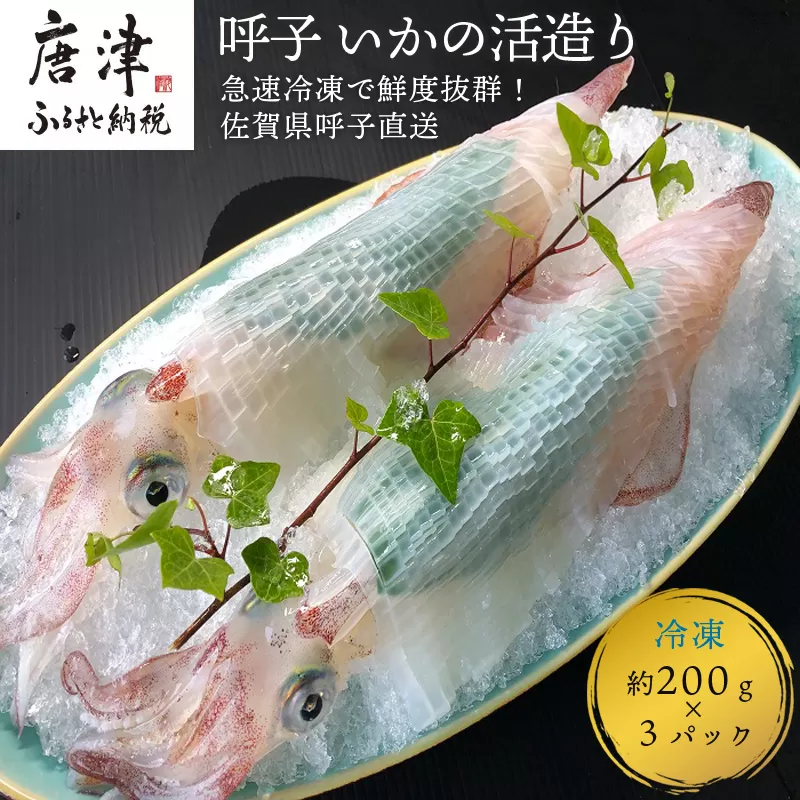 『予約受付』呼子のいか活造り3杯! コリコリ甘い鮮度抜群の透明感! 約200g×3(合計約600g) 刺身 ギフト 冷凍 ※水揚げあり次第6月以降順次発送させていただきます。