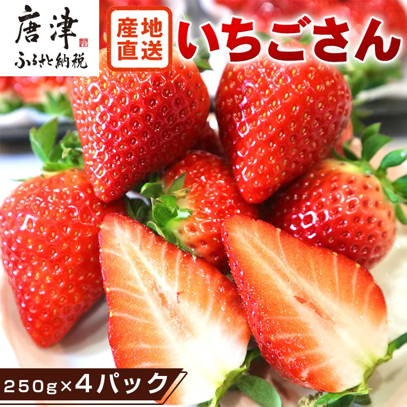 『先行予約』【令和9年3月より順次発送】唐津産 いちごさん 約250g×4パック(合計約1kg) 濃厚いちご 苺 イチゴ 果物 フルーツ