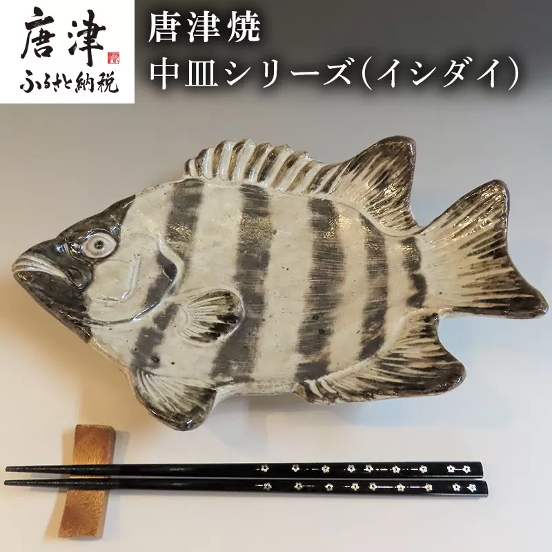 唐津焼 お魚 中皿シリーズ(イシダイ) 料理 食器「2024年 令和6年」