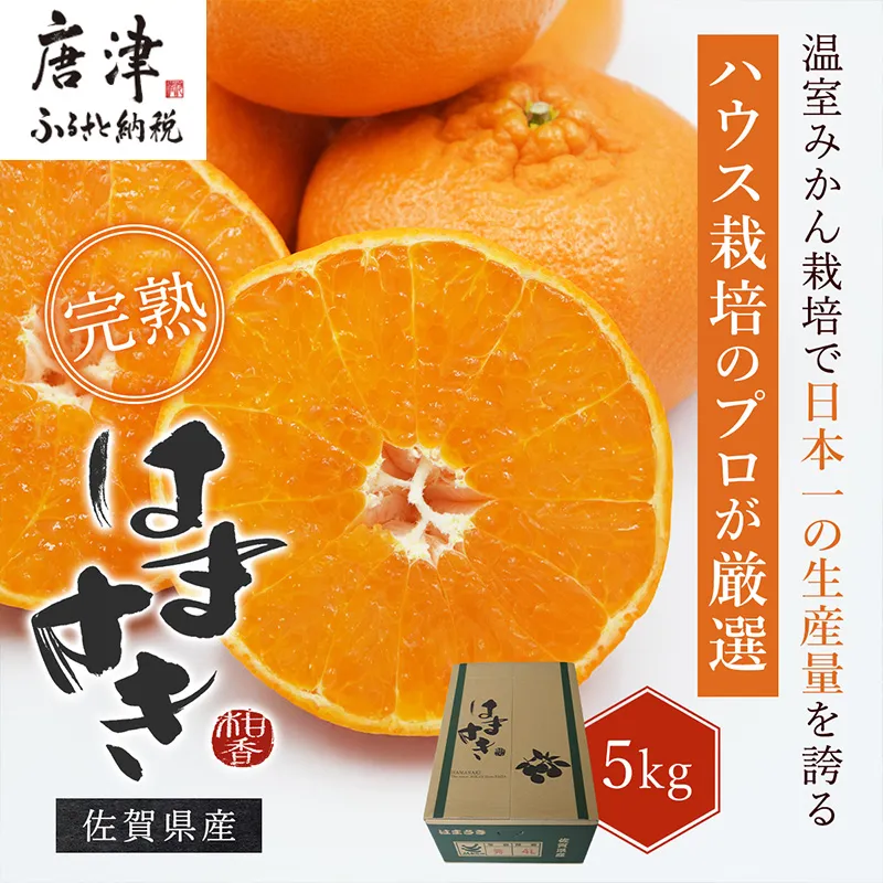 『先行予約』【令和9年2月上旬より順次発送】【特選甘熟みかん】はまさき 5kg 佐賀県産 果物フルーツ 柑橘
