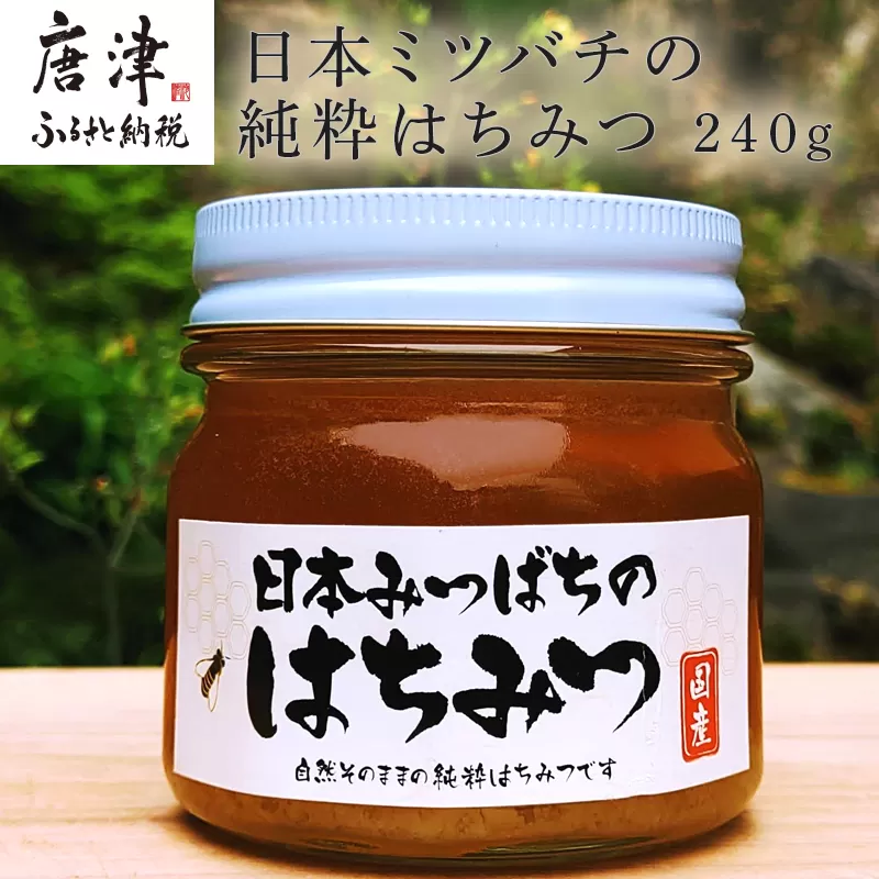 日本ミツバチの純粋はちみつ 240g 瓶 自然 蜜