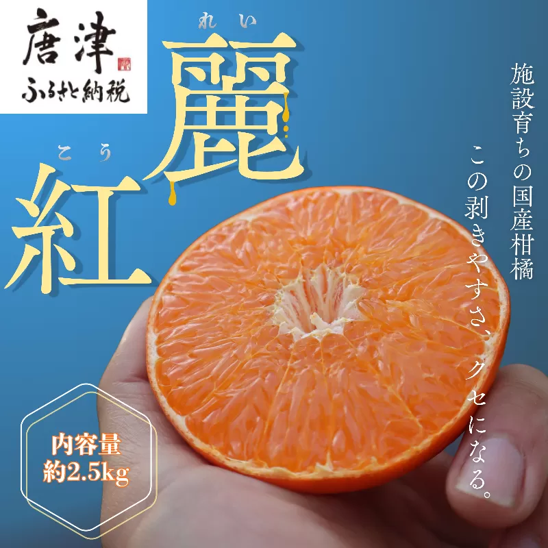 『予約受付』【令和9年1月下旬より順次発送】農家直送！施設育ちの希少柑橘 麗紅(箱込み2.5kg) みかん ミカン 蜜柑 柑橘 ハウス栽培