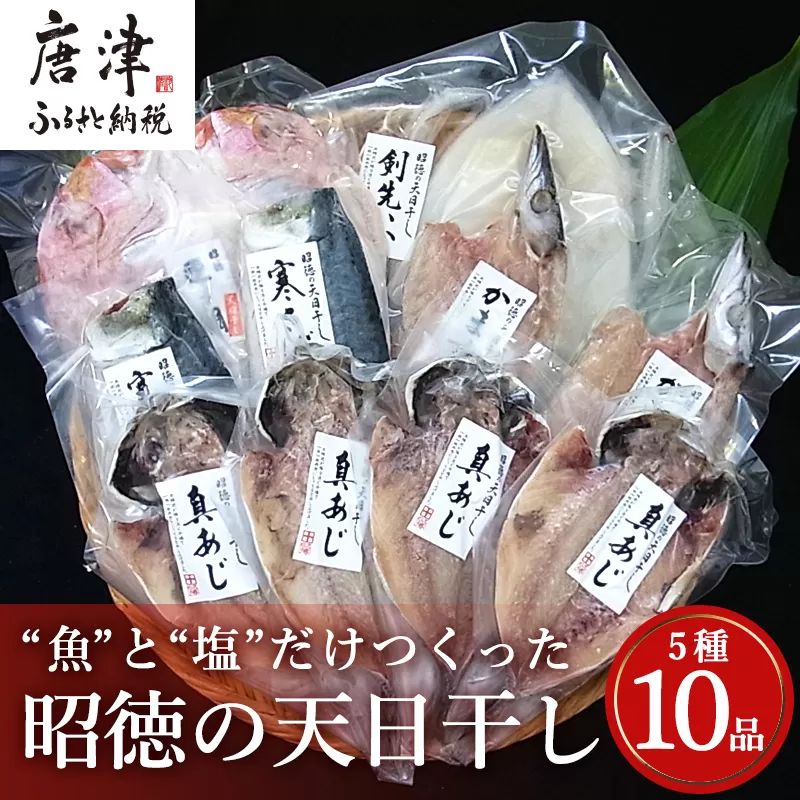 昭徳の天日干し 1枚60g〜180g全10枚でお届けします 真あじ開き60g×4枚 真さば片身90g×2枚 かます開き80g×2枚 連子鯛開き180g×1枚 剣先いか開き70g×1枚 おかず ギフト「2023年 令和5年」