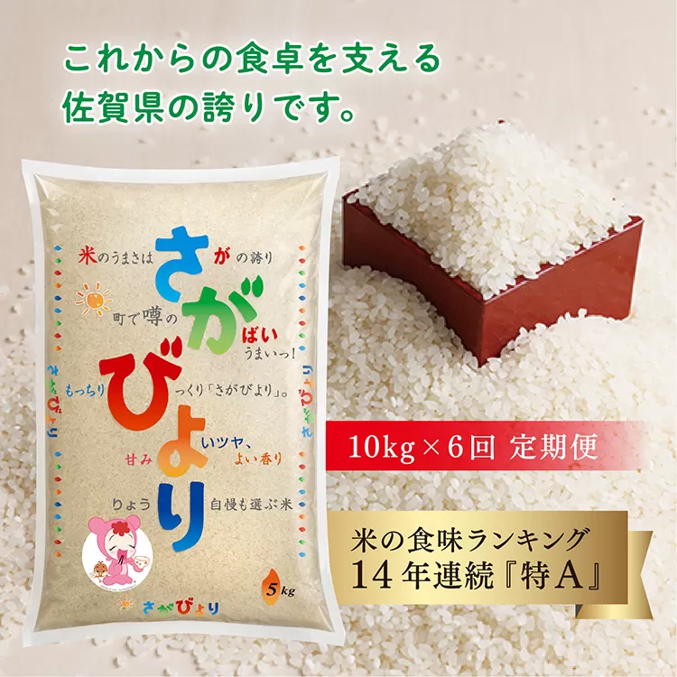 k-14 【令和５年産 定期便】佐賀県産 さがびより 10kg×6回