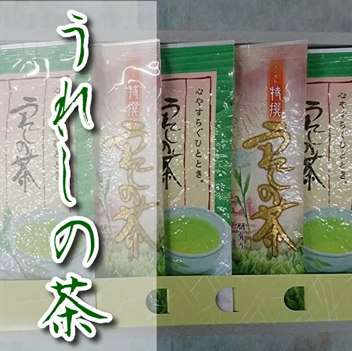 b-164 うれしの茶（嬉野茶）特選・孔子セット【緑茶】
