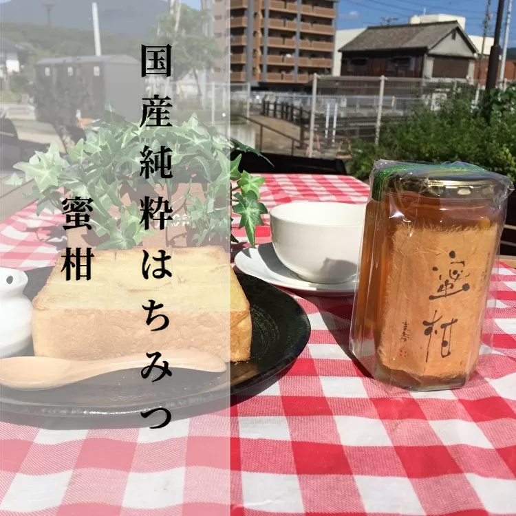 b-172 【新蜜】国産純粋蜂蜜（はちみつ） 蜜柑（みかん）400ｇ×2本