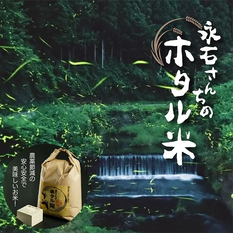 z-60【令和５年産】永石さんちのホタル米 さがびより ５ｋｇ×２袋