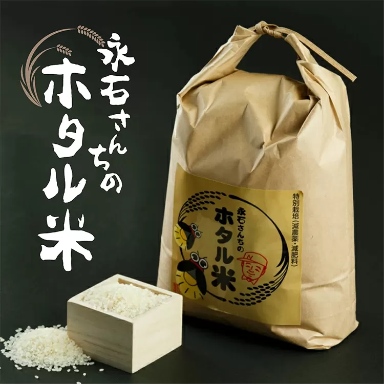 e-29 【 令和６年産 】 さがびより 10kg×4回 永石さんちのホタル米