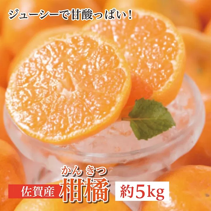 c-104 佐賀産柑橘（かんきつ） 約５ｋｇ