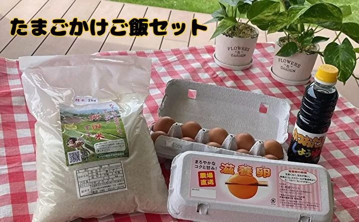 b-263 相浦ファームの滋養卵を使用 たまごかけご飯セット【卵　精米　醤油】