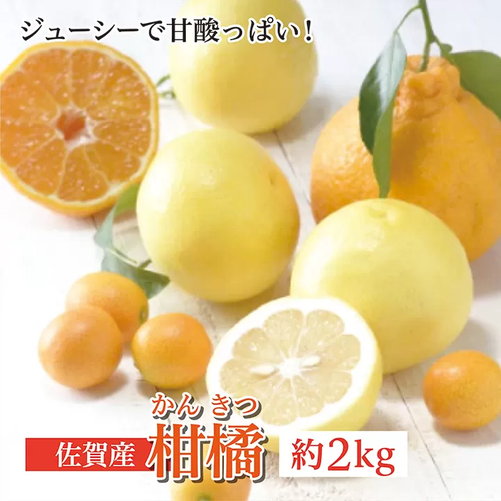 b-375 佐賀産柑橘（かんきつ） 約２ｋｇ
