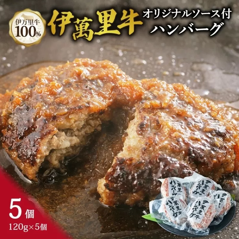 伊万里牛ハンバーグ 120g×5個(合計600g) 卵・牛乳不使用 007-J1771