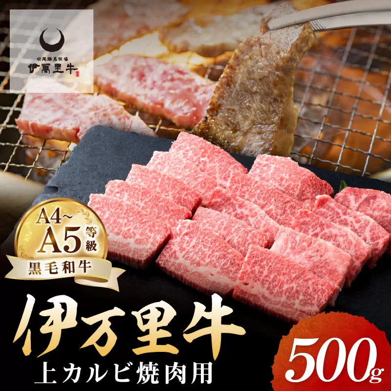 A5 A4 伊萬里牛 (伊万里牛) 上カルビ 焼肉 500g 007-J1782