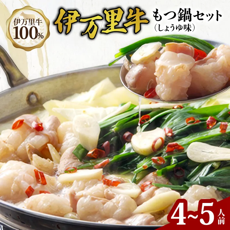 伊万里牛もつ鍋セット 4人前~5人前 007-J2651