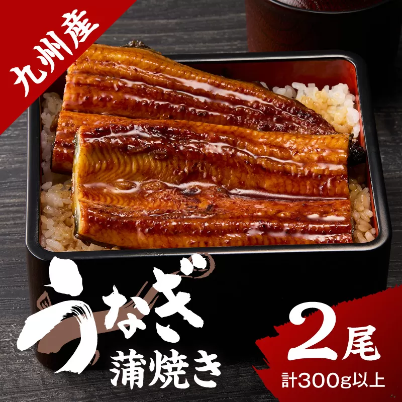 九州産うなぎ蒲焼 2匹（1匹150g以上） 015-C223