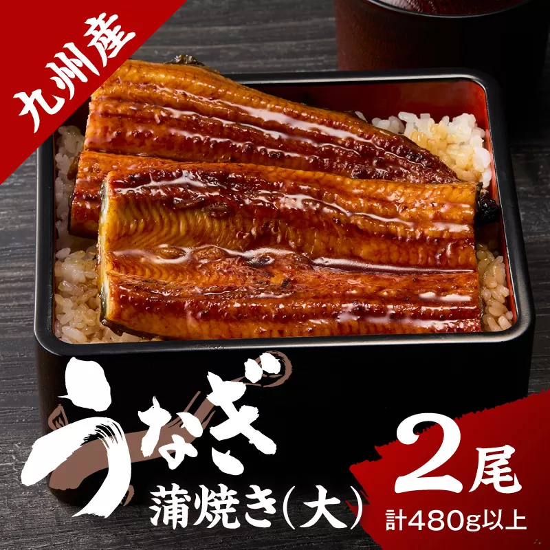 九州産うなぎ蒲焼 2匹（1匹240g以上） 015-C224