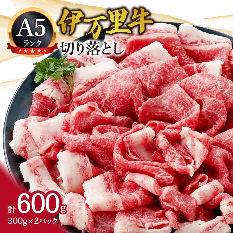 A5 A4厳選 伊万里牛切り落とし 600g 小分け 焼肉 牛丼 炒め物に 061-J1864