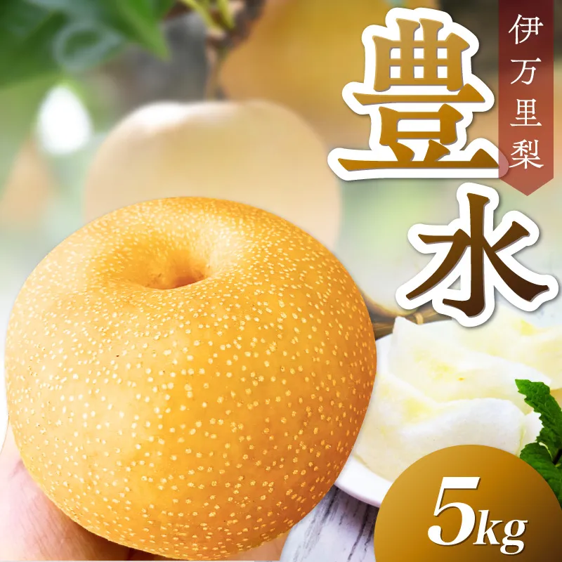 伊万里梨 豊水5kg (8～14玉) 113-B1075