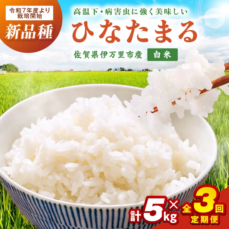 【3ヶ月定期便】伊万里産米ひなたまる精米5ｋｇｘ3 999-B889