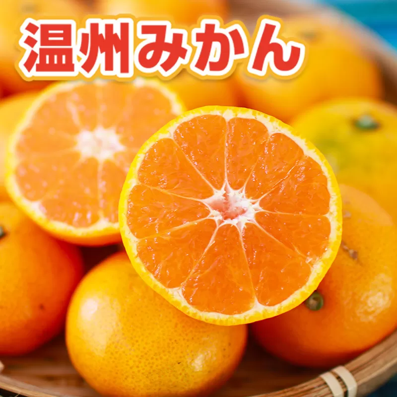 温州みかん 約7kg 114-B1008