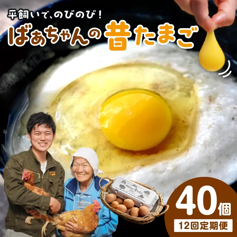 【12回定期便】平飼いで のびのび！ばあちゃんの昔たまご 40個/月 割れ保証あり 999-B612