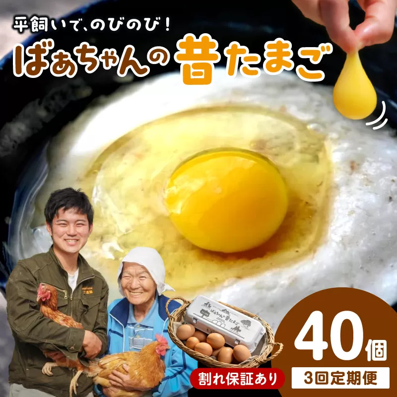 【3回定期便】平飼いで のびのび！ばあちゃんの昔たまご 40個/月 割れ保証あり 999-B618