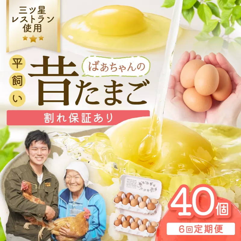 【6回定期便】平飼いで のびのび！ばあちゃんの昔たまご 40個/月 割れ保証あり 999-B619
