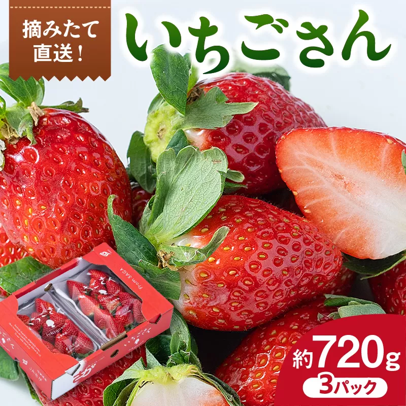 佐賀産 いちごさん 3パック 147-B810