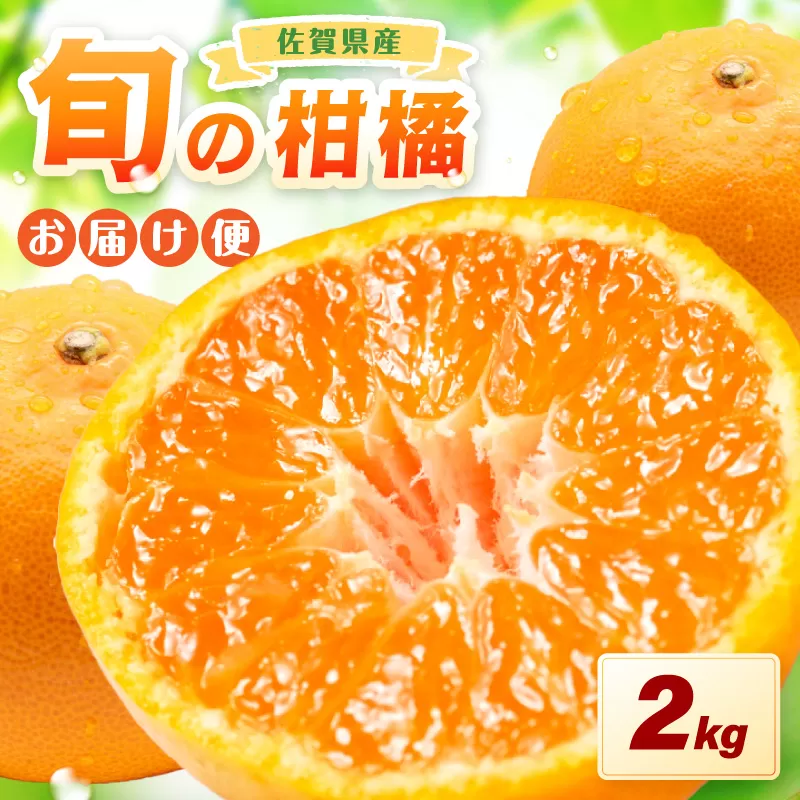佐賀の旬の柑橘をお届け 佐賀産かんきつ2kg 147-B396