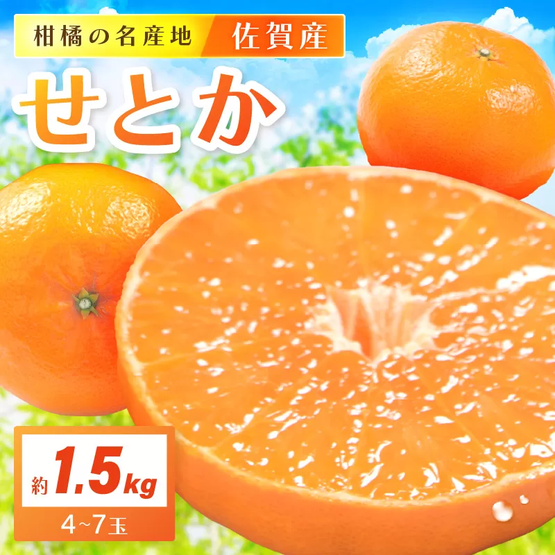 佐賀産 柑橘類 せとか 約1.5kg （4〜7玉） 147-B405