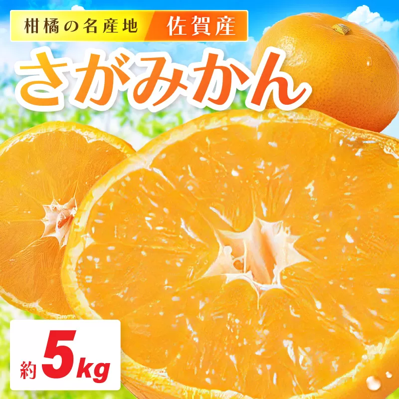 佐賀産さがみかん 約5kg箱 (伊万里市) 柑橘類 147-B800