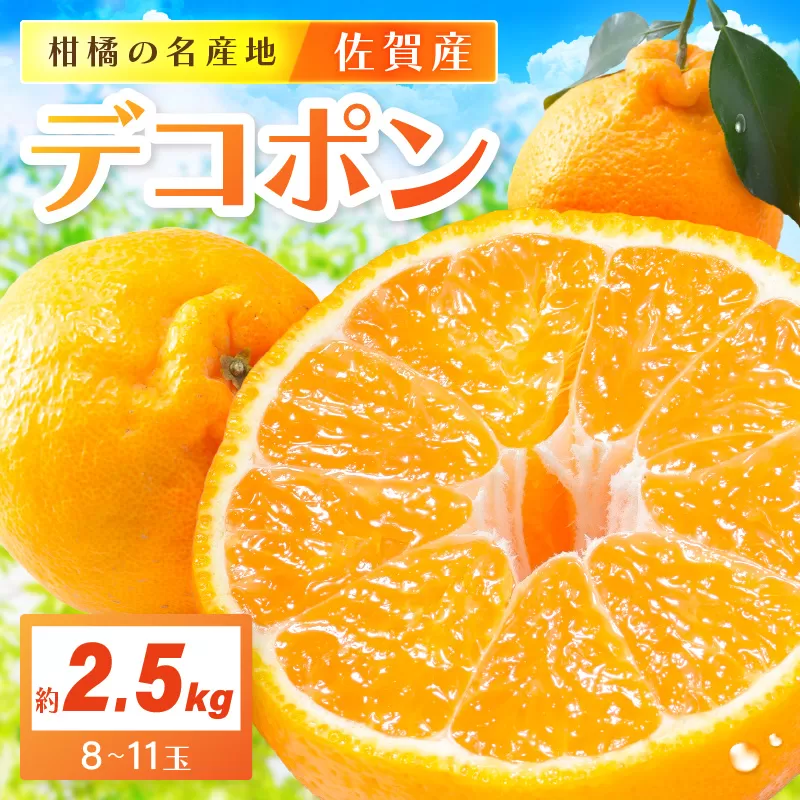 佐賀産 デコポン 約2.5kg (8-11玉) (伊万里市) 柑橘類 147-B804