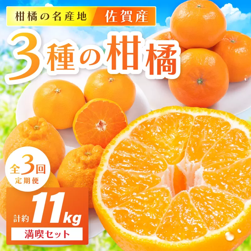 佐賀産 柑橘定期便 満喫セット【全3回】 せとか はまさき デコポン 999-B860