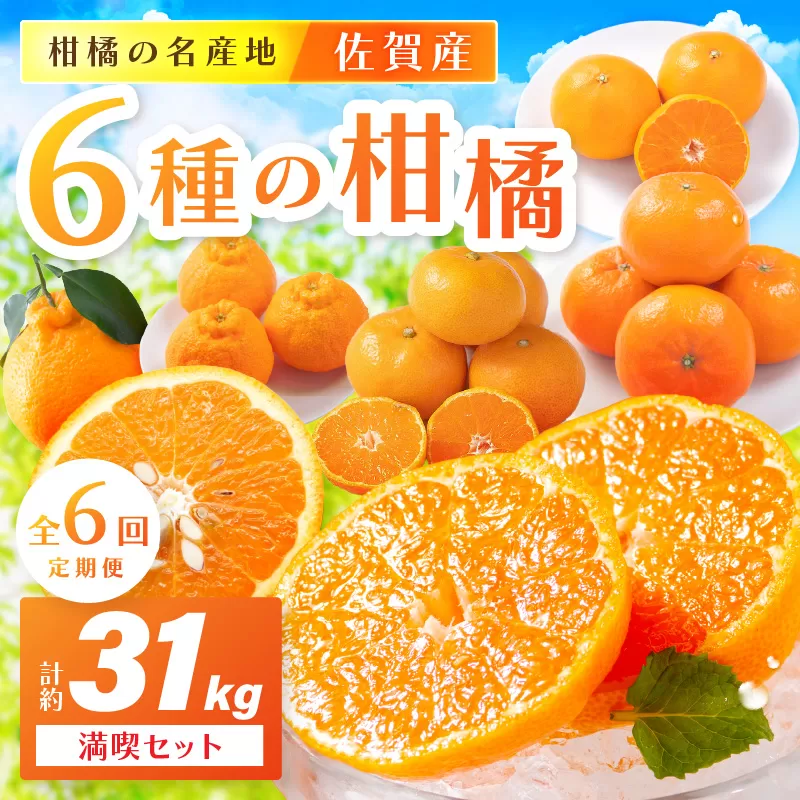 佐賀産 柑橘6種定期便 満喫セット【全6回】999-B862