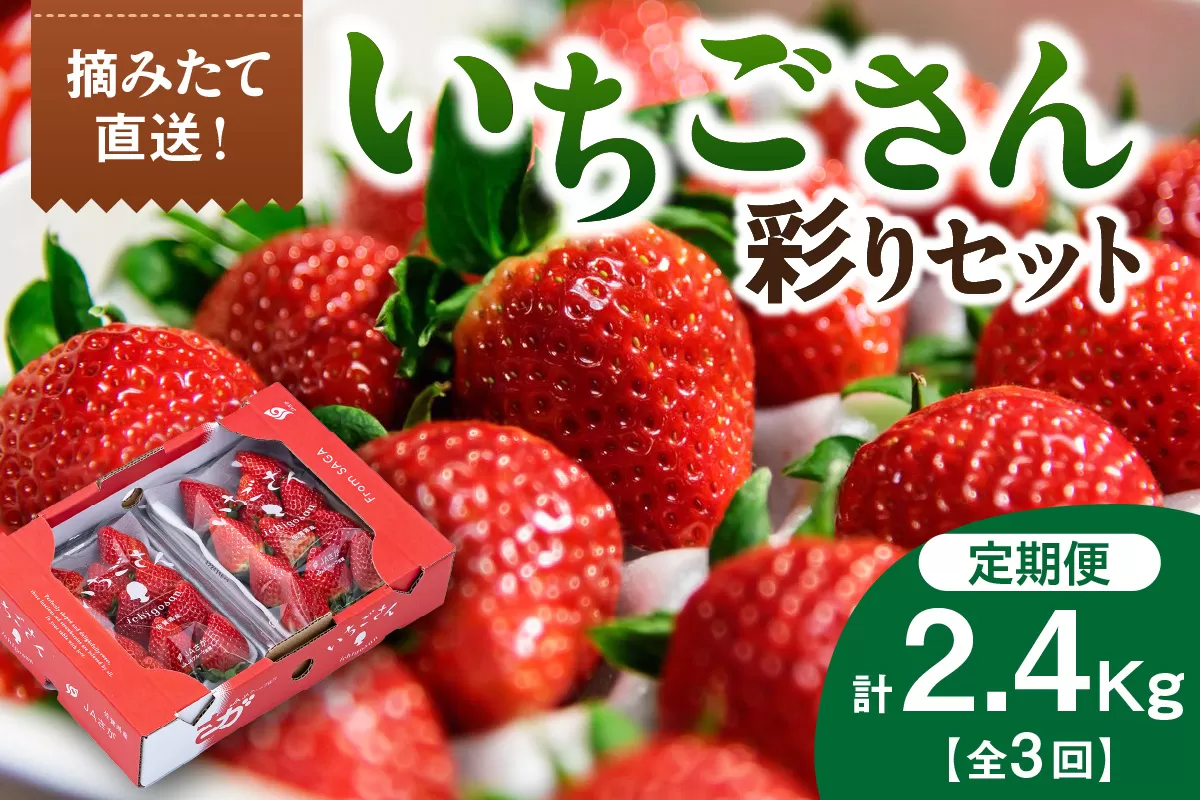 佐賀産「いちごさん」定期便 彩りセット【全3回】　999-B867
