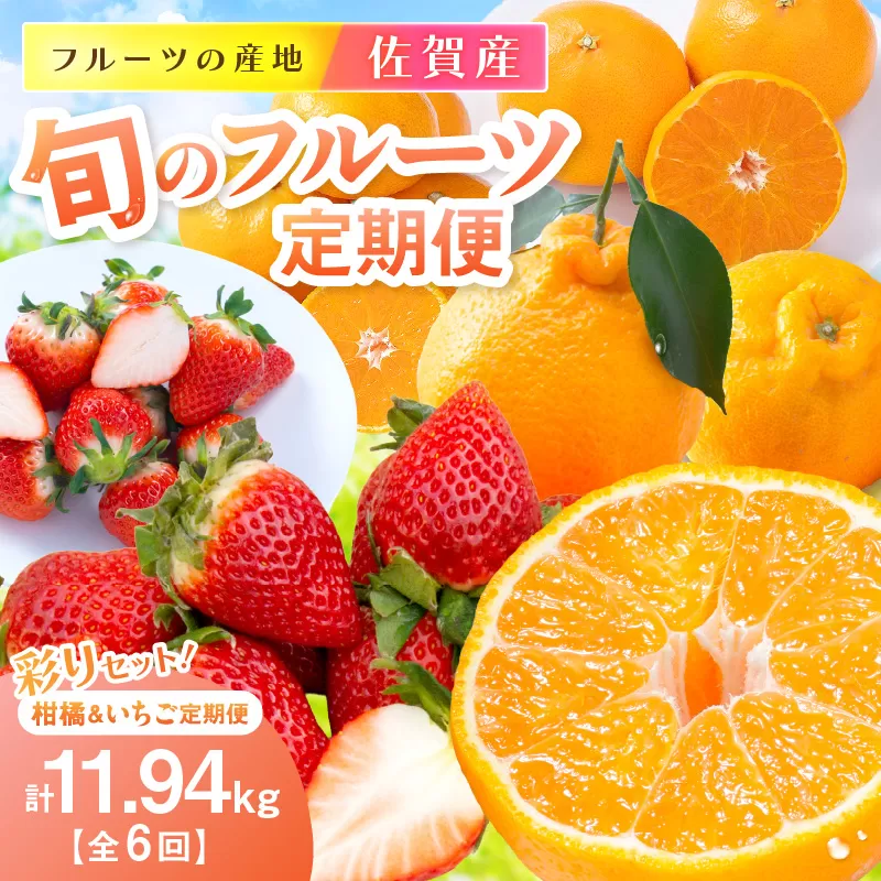 佐賀産 旬のフルーツ定期便 彩りセット【全6回】 柑橘 いちご　999-B869