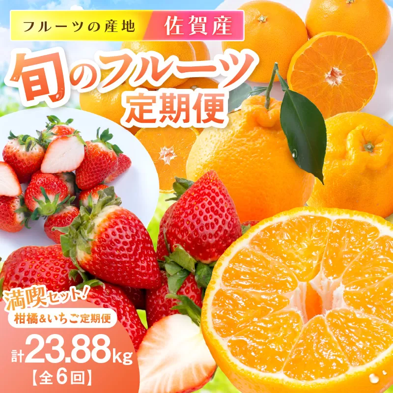 佐賀産 旬のフルーツ定期便 満喫セット【全6回】 柑橘 いちご　999-B870