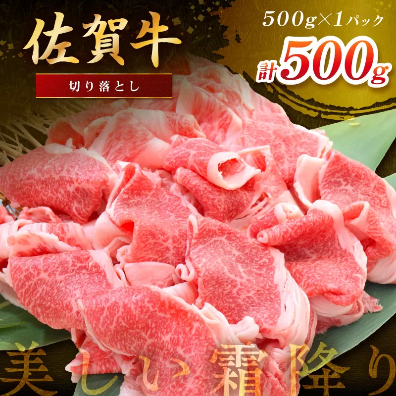 佐賀牛 切り落とし 500g 149-J1978