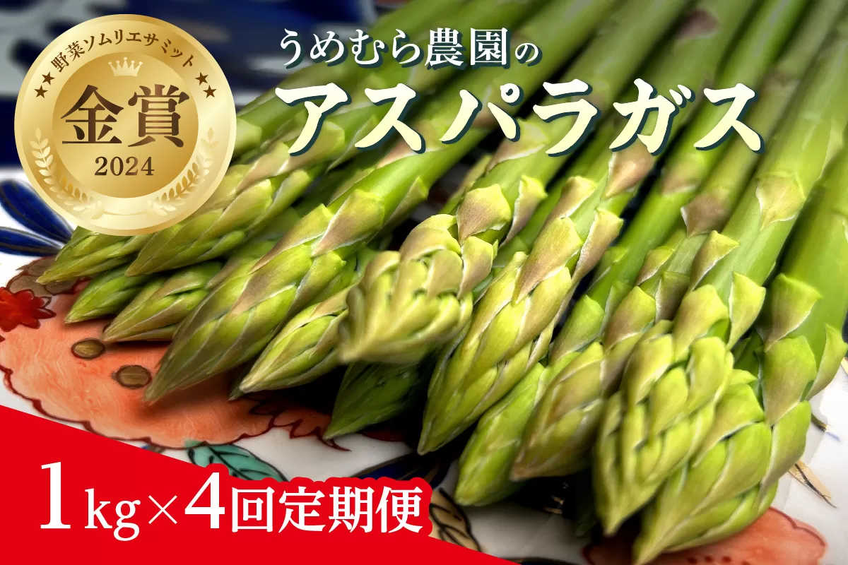 【3月~8月配送】野菜ソムリエサミット『金賞』受賞、自噴水と寒暖差が育んだアスパラ定期便1kg×4回 999-B623