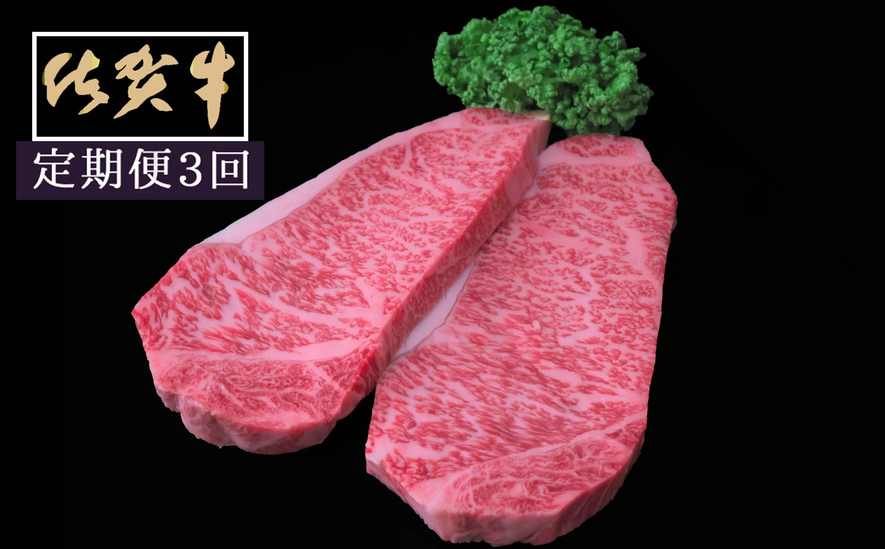 【3ヶ月定期便】佐賀牛サーロインステーキ200g×2枚 999-J1519