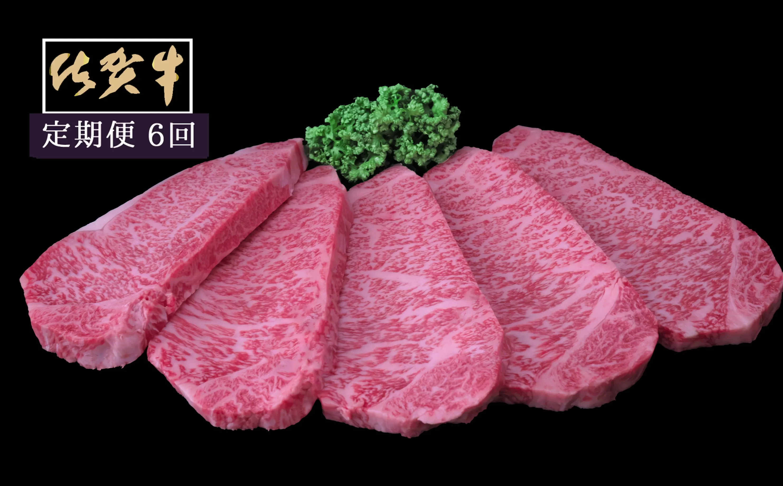 【6ヶ月定期便】佐賀牛サーロインステーキ200g×5枚 999-J1536